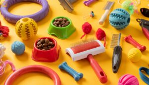 Cat Training Tools: The Ultimate Guide for Cat Owners