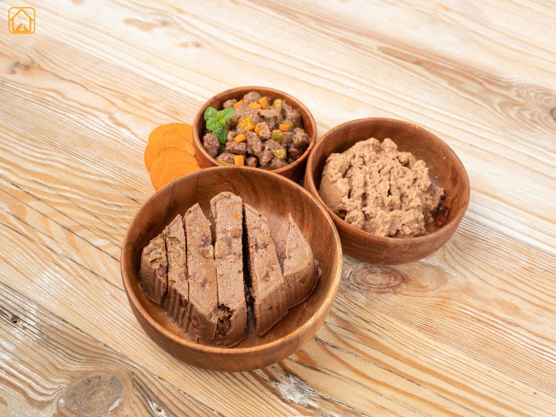 Wet Cat Food vs Dry Cat Food