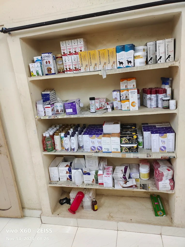 Dr Ramesh’s pet care centre Veterinary Clinic in MVP Colony, Visakhapatnam — Facility Photo 4