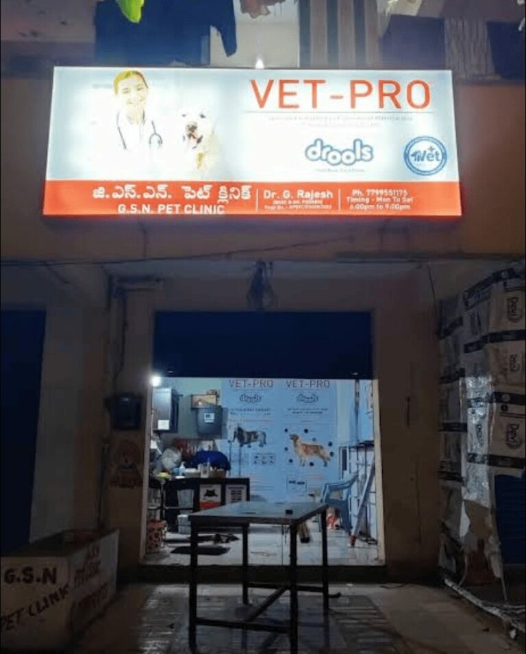 GSN PET CLINIC - Pet Clinic in Arilova, Visakhapatnam