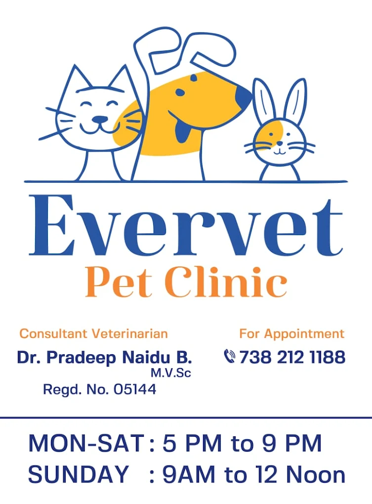 Evervet Pet Clinic - Pet Clinic in Pedda Waltair, Visakhapatnam