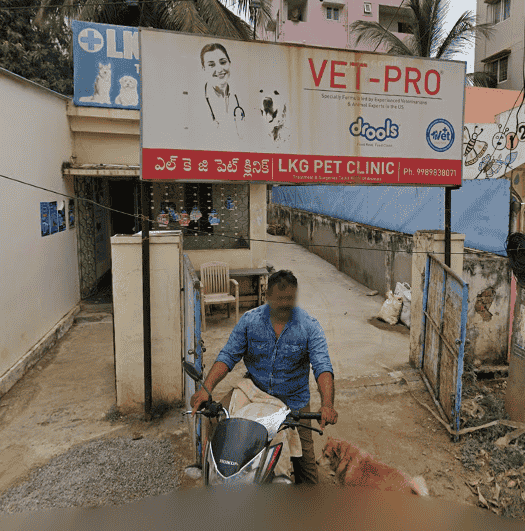 LKG Pet Clinic - Pet Clinic in PM Palem, Visakhapatnam