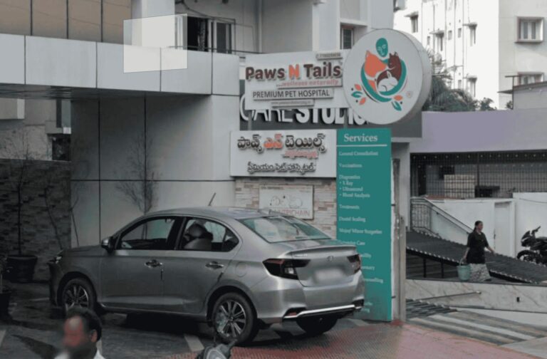 Paws N Tails Premium Pet Hospital - Pet Clinic in Pedda Waltair, Visakhapatnam