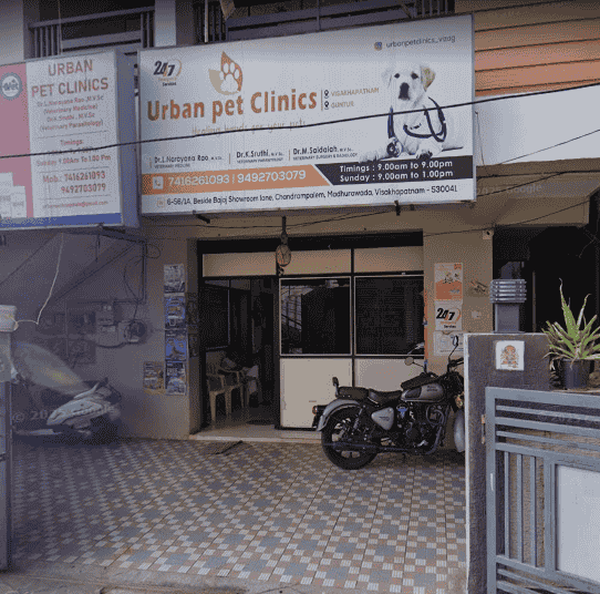 Urban Pet Clinic - Pet Clinic in Madhurawada, Visakhapatnam