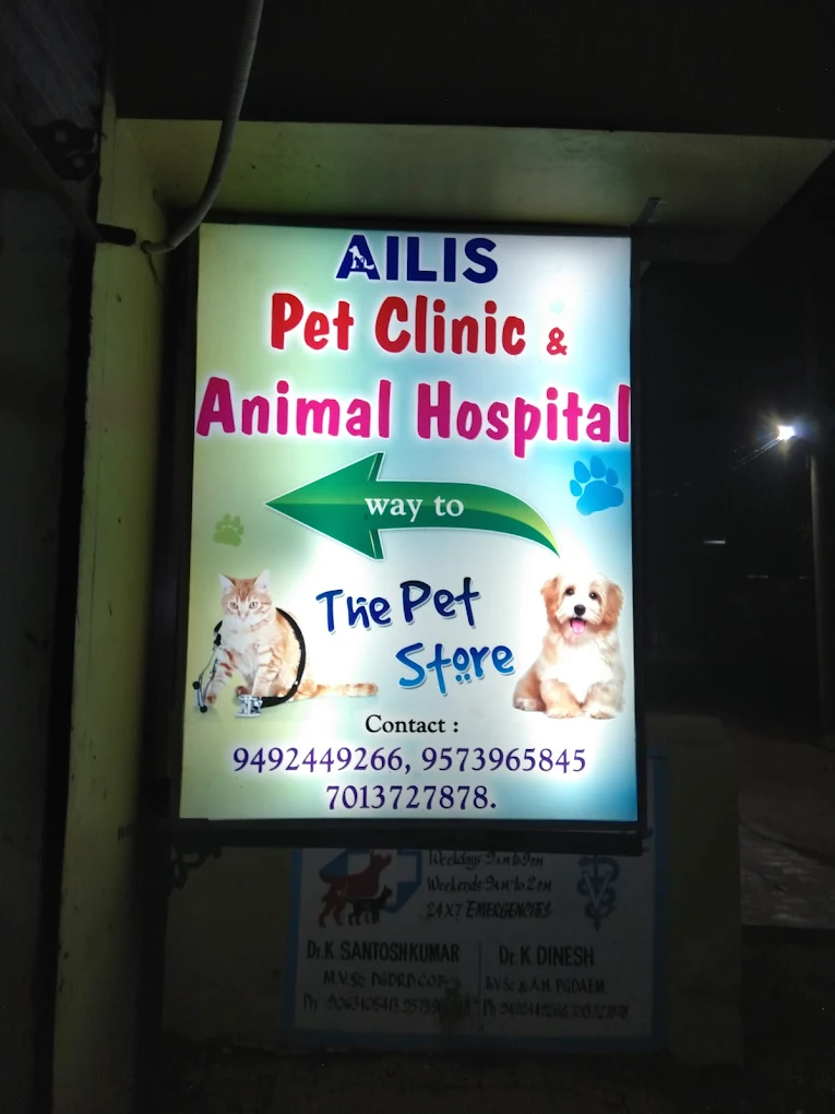 Ailis Pet Care Clinic and Veterinary Hospital - Pet Clinic in Sai Nath Colony, Vizianagaram