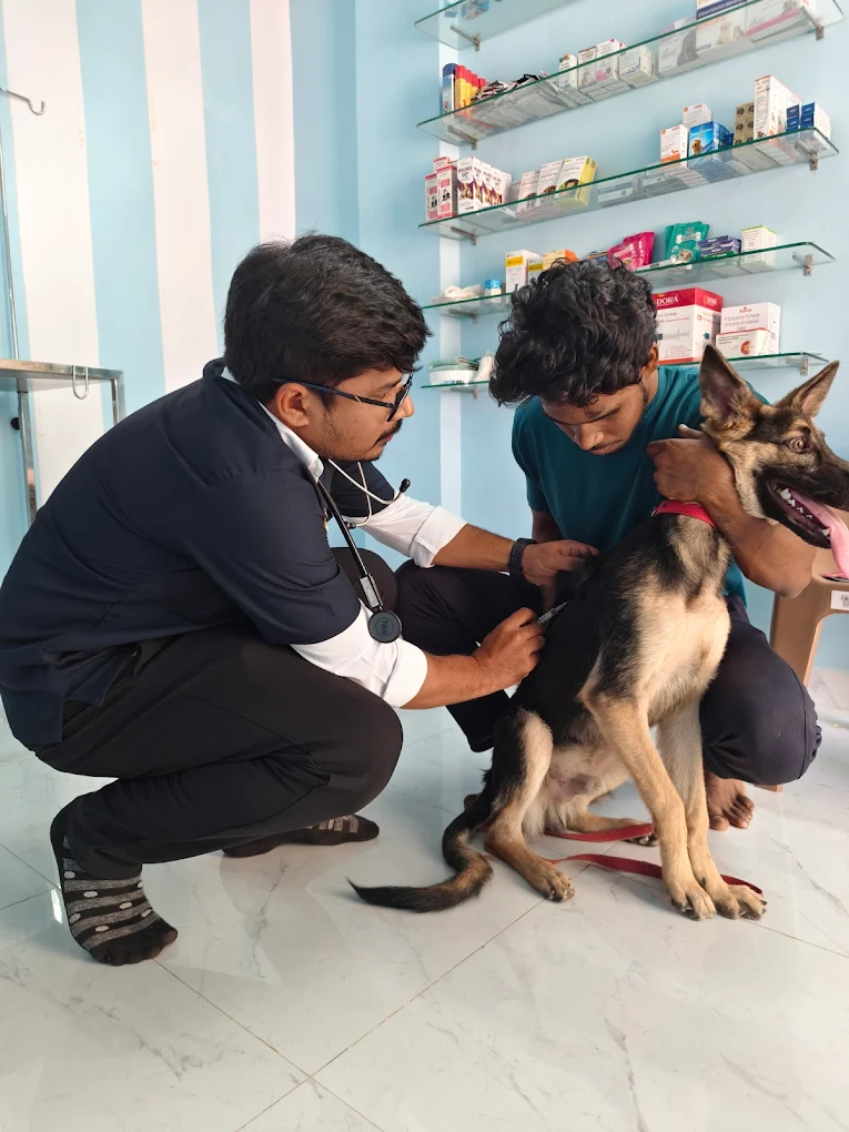 B2VET Pet clinic Vepagunta Veterinary Clinic in Lakshmi Puram, Visakhapatnam — Facility Photo 2