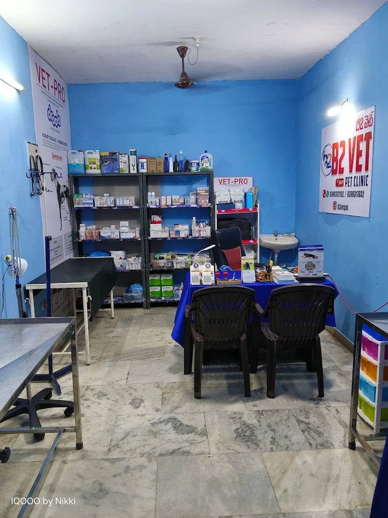 B2Vet Pet Hospital Veterinary Clinic in Gajuwaka, Visakhapatnam — Facility Photo 6