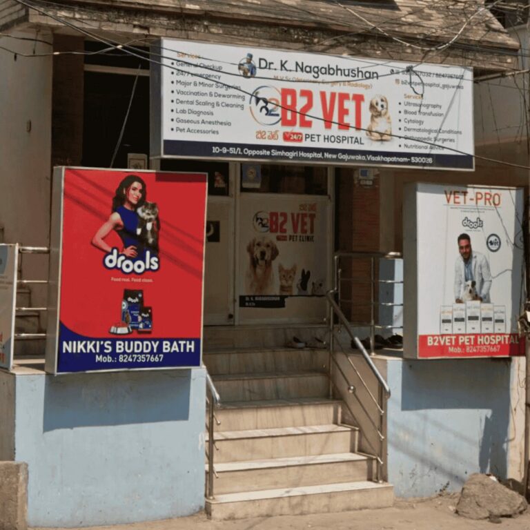 B2Vet Pet Hospital - Pet Clinic in Gajuwaka, Visakhapatnam