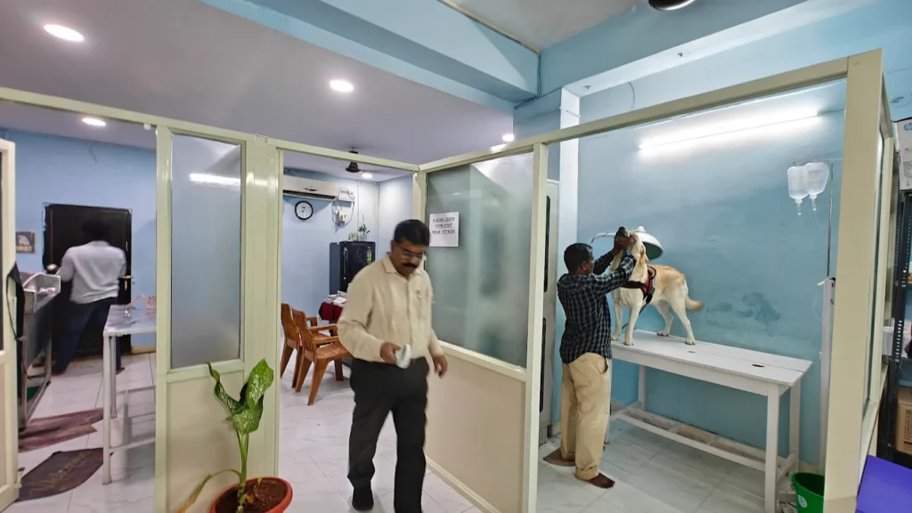 Care and Cure Pet Clinic Veterinary Clinic in Dharmapuri, Vizianagaram — Facility Photo 4