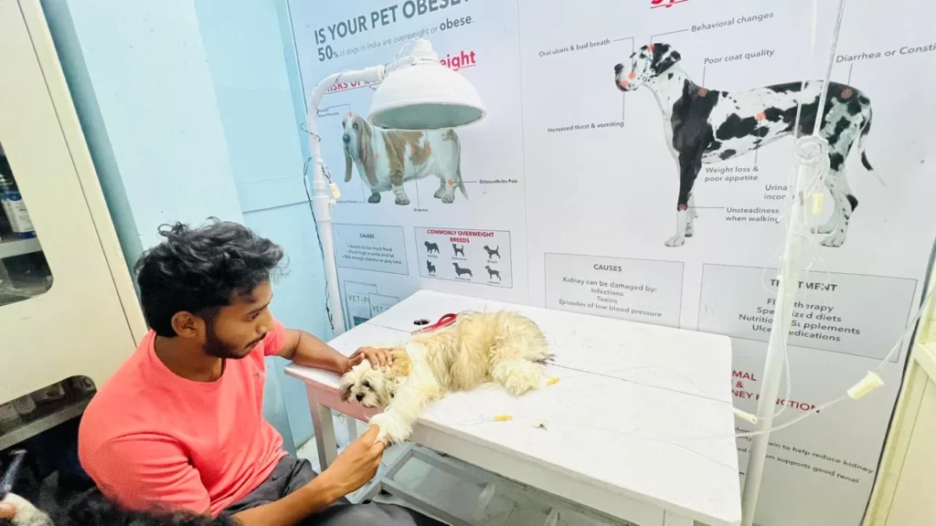 Care and Cure Pet Clinic Veterinary Clinic in Dharmapuri, Vizianagaram — Facility Photo 3