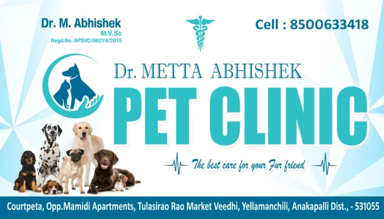 Dr Abhishek Pet Clinic - Pet Clinic in Elamanchili, Anakapalli