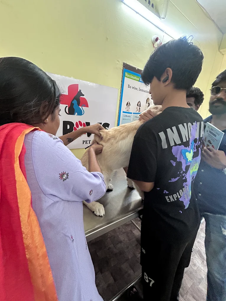 Dr Paws Pet Clinic & Grooming Veterinary Clinic in Marripalem, Visakhapatnam — Facility Photo 7