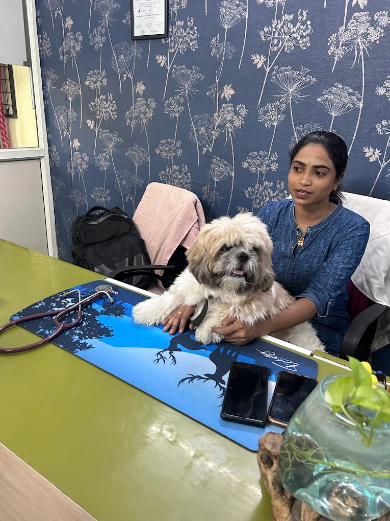 Dr Paws Pet Clinic & Grooming Veterinary Clinic in Marripalem, Visakhapatnam — Facility Photo 6