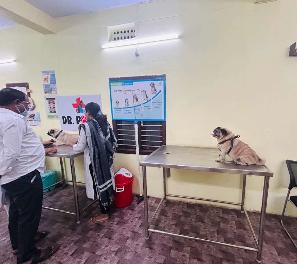 Dr Paws Pet Clinic & Grooming Veterinary Clinic in Marripalem, Visakhapatnam — Facility Photo 5