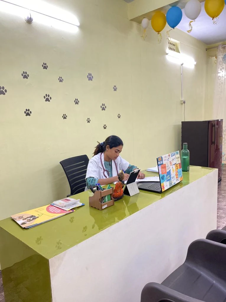Dr Paws Pet Clinic & Grooming Veterinary Clinic in Marripalem, Visakhapatnam — Facility Photo 4