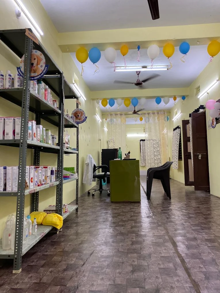 Dr Paws Pet Clinic & Grooming Veterinary Clinic in Marripalem, Visakhapatnam — Facility Photo 2
