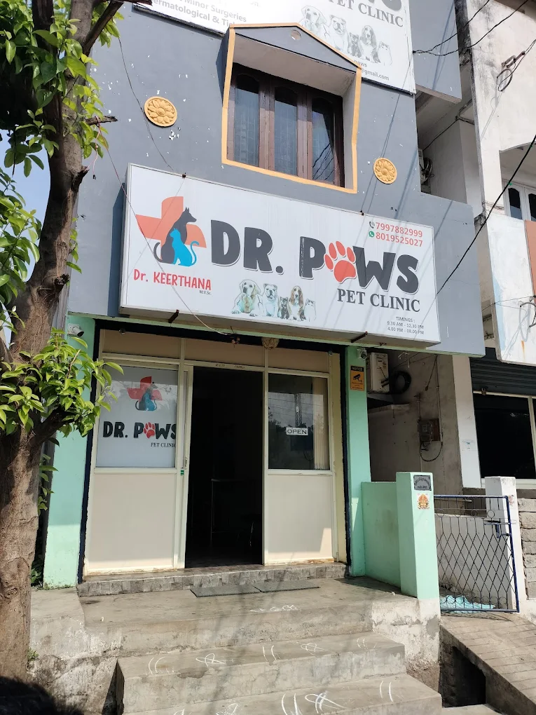Dr Paws Pet Clinic & Grooming - Pet Clinic in Marripalem, Visakhapatnam