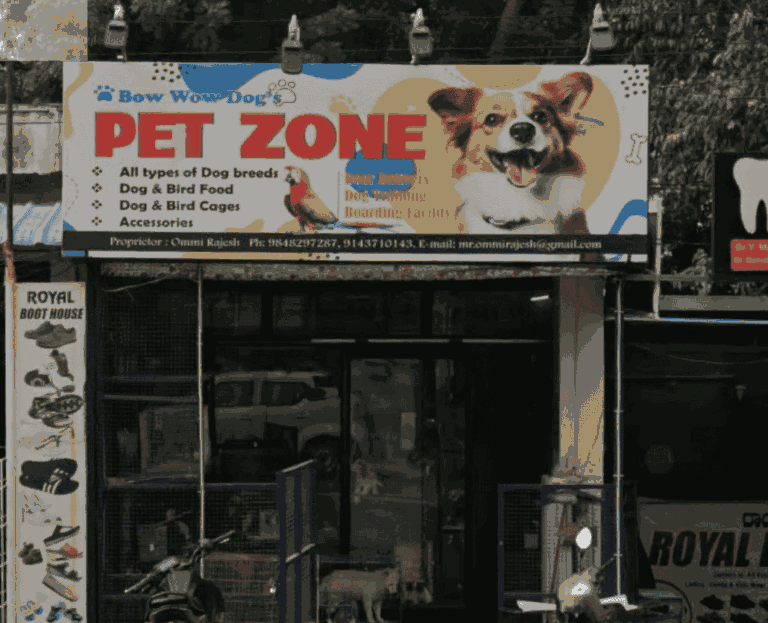Dr Sudheer Vet , Pet Clinic - Pet Clinic in PM Palem, Visakhapatnam