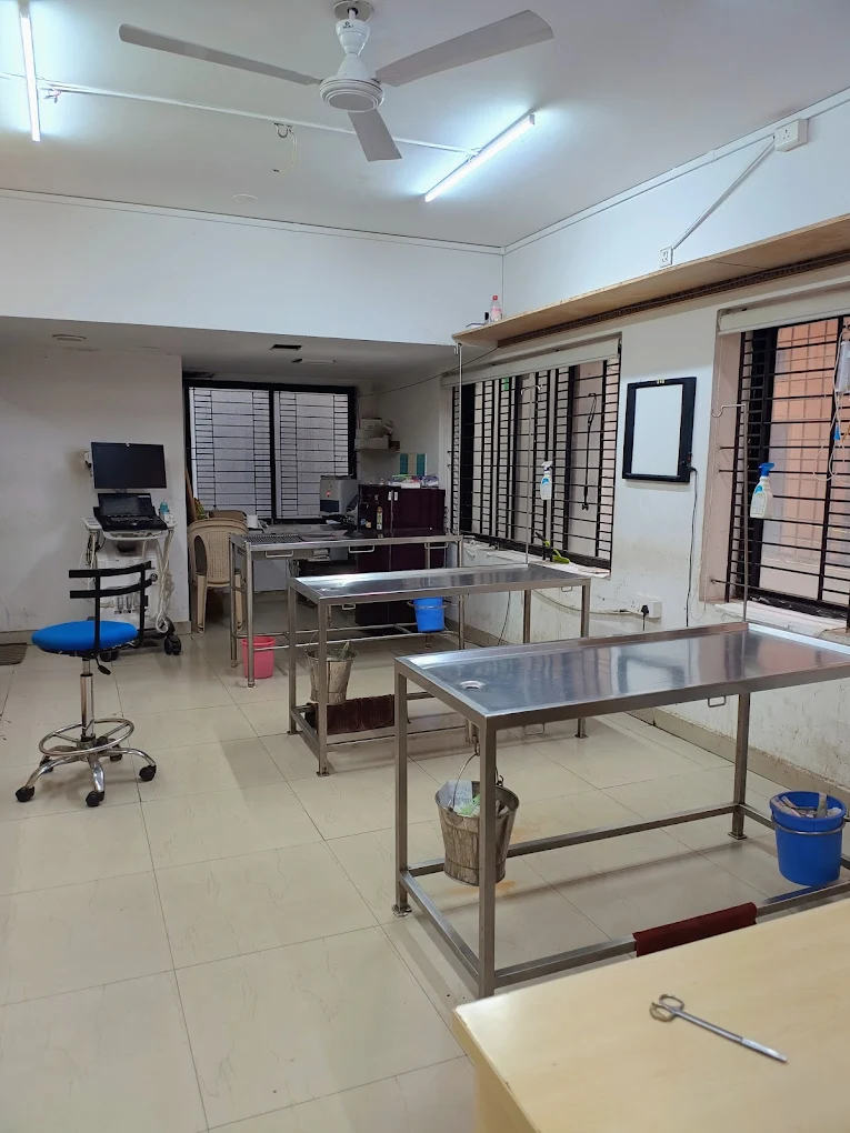 Dr. Ravi’s Pet Clinic Veterinary Clinic in Malleshwaram, Bengaluru — Facility Photo 6