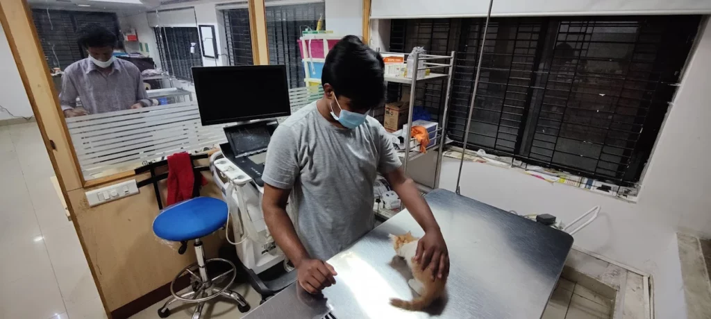 Dr. Ravi’s Pet Clinic Veterinary Clinic in Malleshwaram, Bengaluru — Facility Photo 4