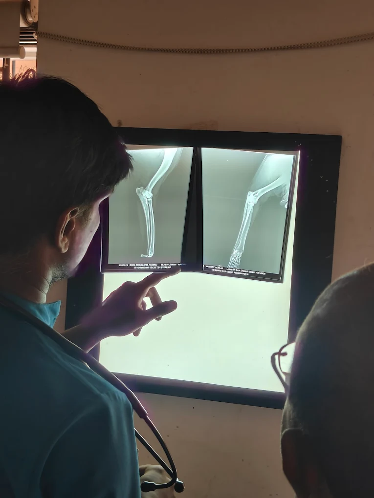 Dr. Ravi’s Pet Clinic Veterinary Clinic in Malleshwaram, Bengaluru — Facility Photo 2
