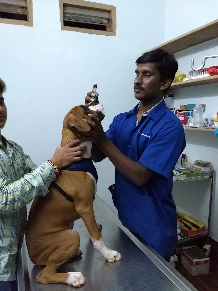 Dr. Ravi’s Pet Clinic Veterinary Clinic in Malleshwaram, Bengaluru — Facility Photo 8