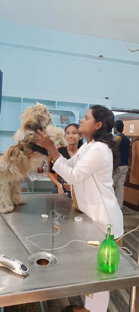 Dr. Tails Animal Hospital & Spa Veterinary Clinic in NSTL, Visakhapatnam — Facility Photo 3