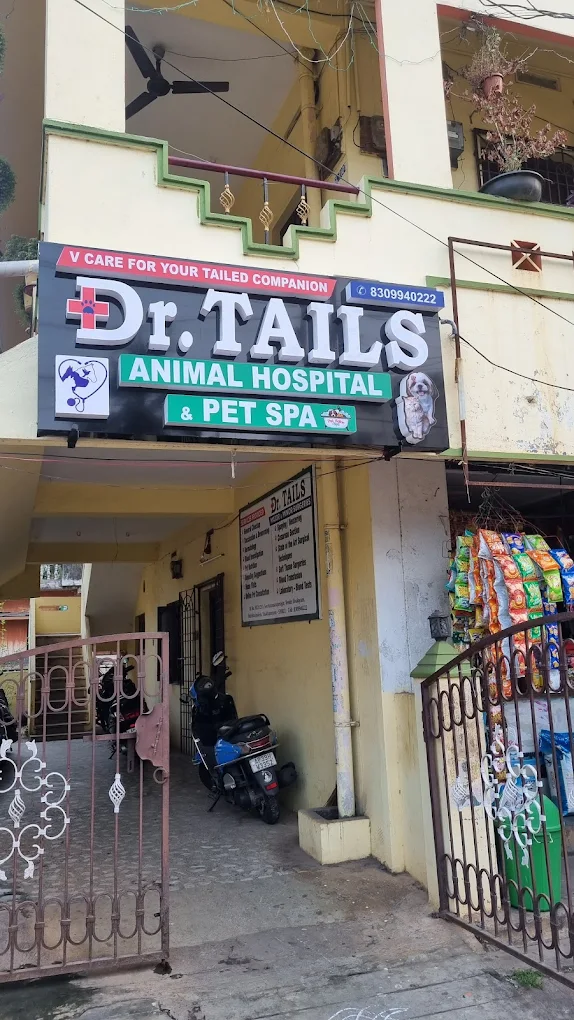 Dr. Tails Animal Hospital & Spa - Pet Clinic in NSTL, Visakhapatnam