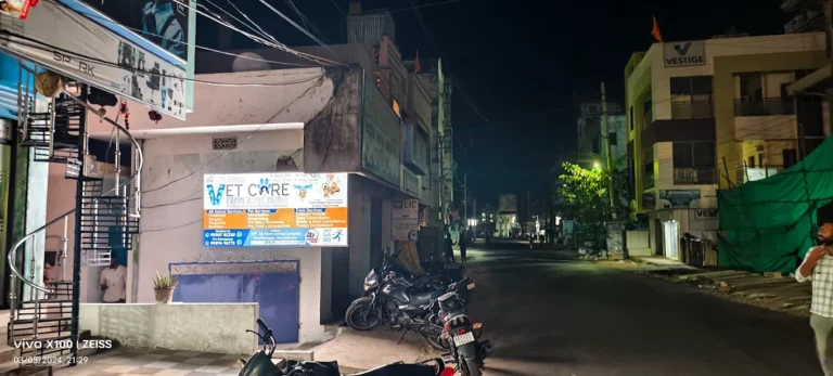 Dr.Petla's Vet Care - Pet Clinic in Narsipatnam, Anakapalli