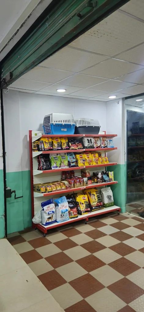 Every Care Dog Clinic Veterinary Clinic in Thagarapuvalasa, Visakhapatnam — Facility Photo 5