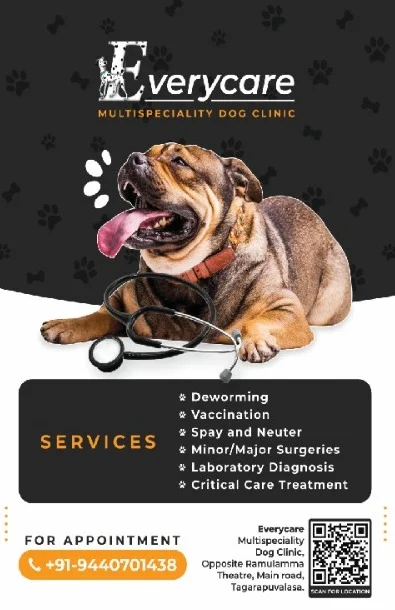 Every Care Dog Clinic Veterinary Clinic in Thagarapuvalasa, Visakhapatnam — Facility Photo 2
