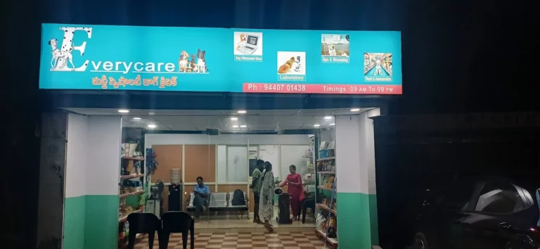 Every Care Dog Clinic - Pet Clinic in Thagarapuvalasa, Visakhapatnam