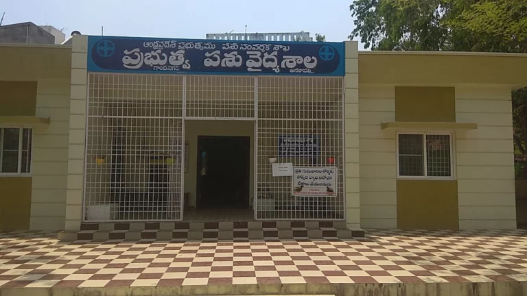 Government Veterinary Hospital, Anakapalli - Pet Clinic in Gandhi Nagar, Anakapalli