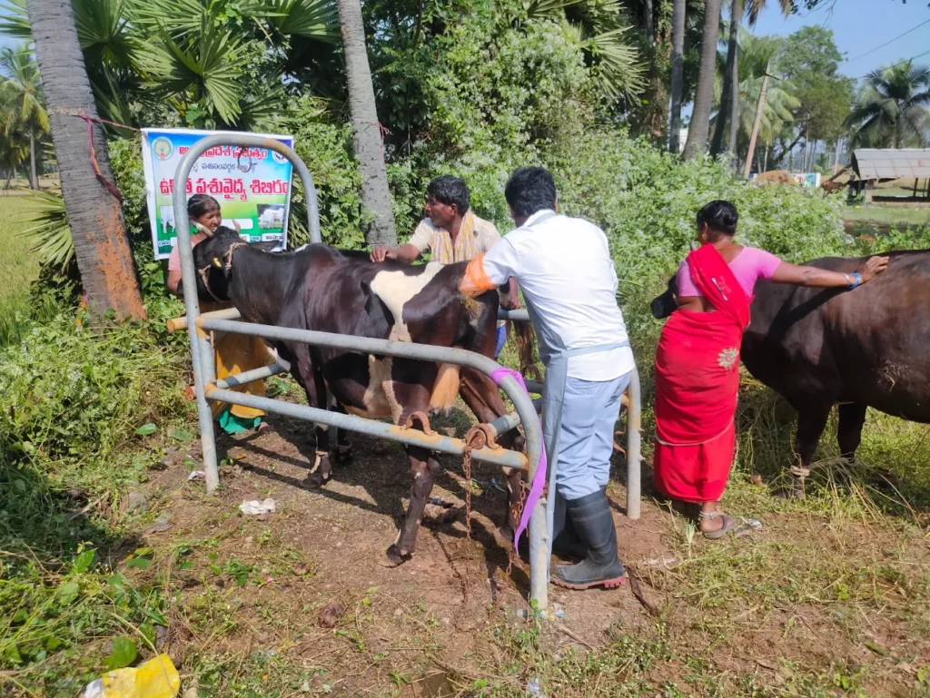 Government Veterinary Hospital, Munagapaka Veterinary Clinic in Munagapaka, Anakapalli — Facility Photo 2