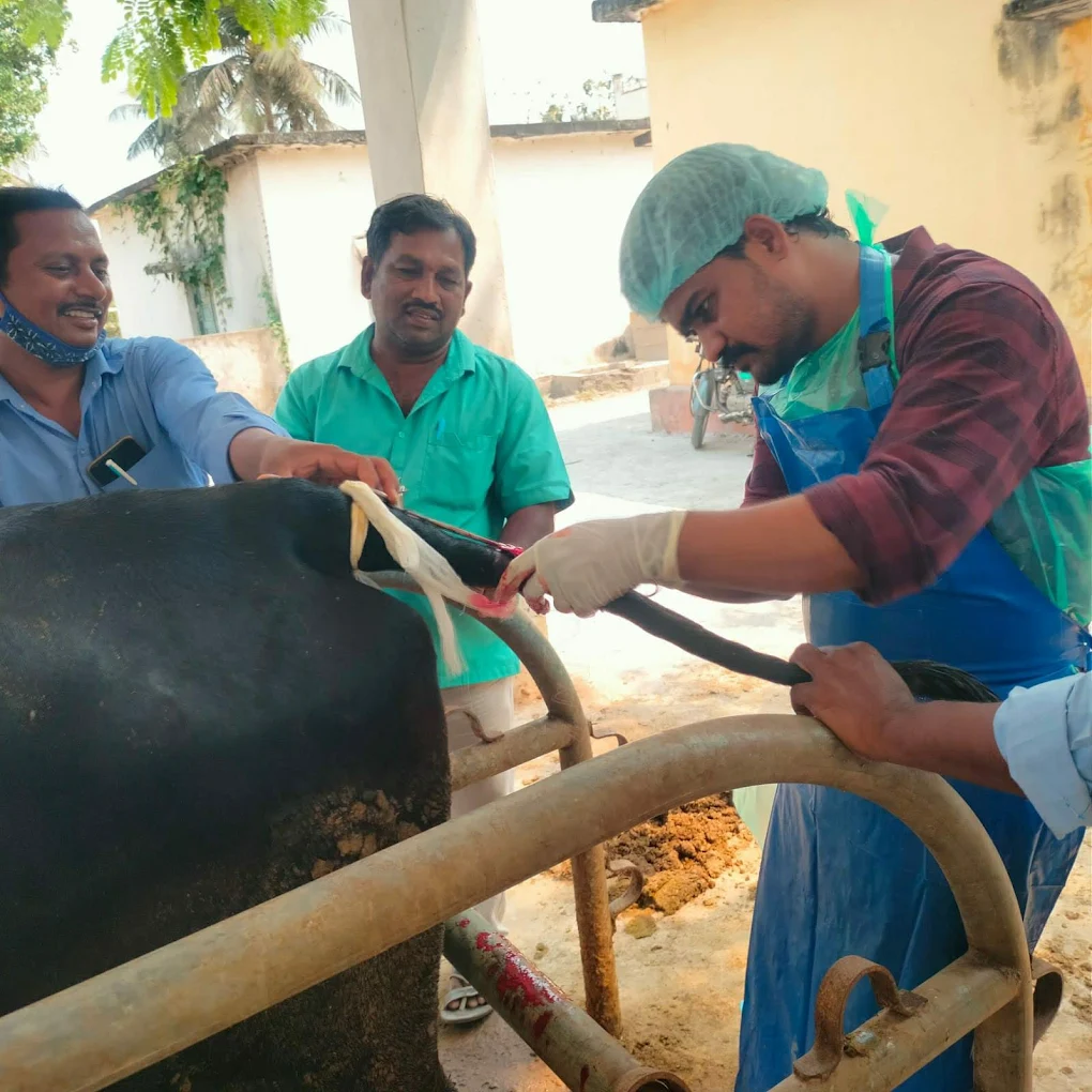 Government Veterinary Hospital, Munagapaka Veterinary Clinic in Munagapaka, Anakapalli — Facility Photo 3