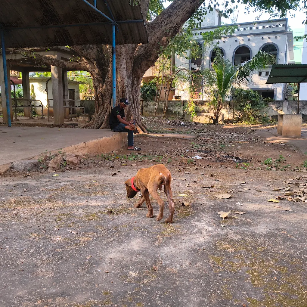 Government Veterinary Hospital, Pendurti Veterinary Clinic in Pendurthi, Visakhapatnam — Facility Photo 3