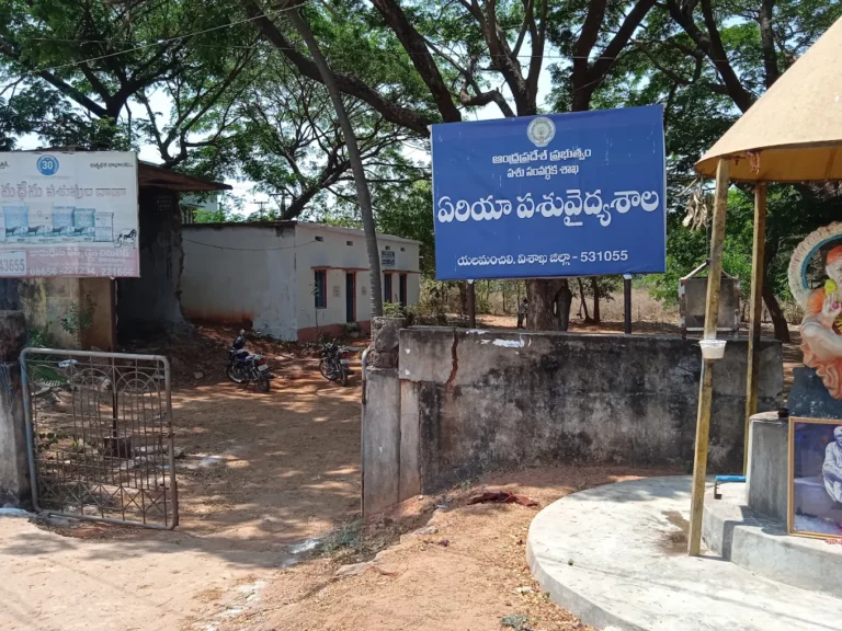 Government Veterinary Hospital, Yellamanchili - Pet Clinic in Elamanchili, Anakapalli