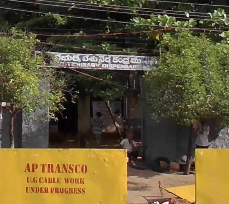 Government Veternairy Hospital, Scinida - Pet Clinic in Hindustan Shipyard Colony, Visakhapatnam