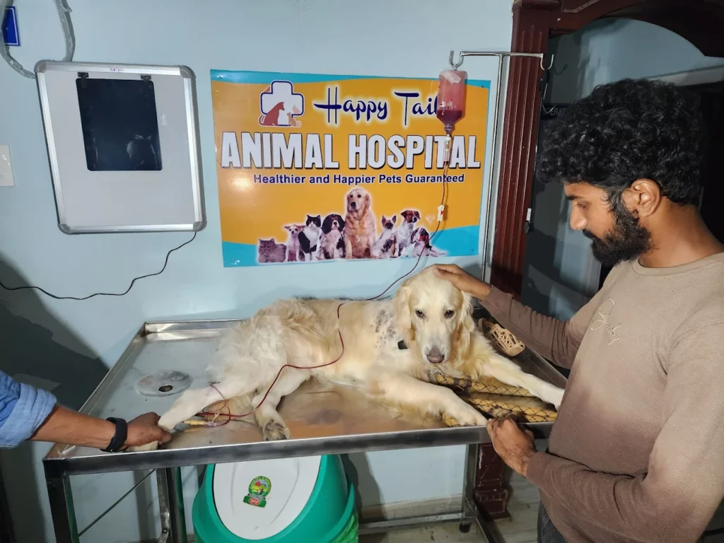 Happy Tails Animal Hospital and Pet Spa Veterinary Clinic in Buchirajupalem, Visakhapatnam — Facility Photo 2