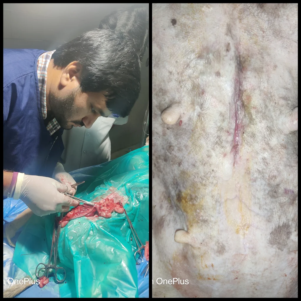 Happy Tails Animal Hospital and Pet Spa Veterinary Clinic in Buchirajupalem, Visakhapatnam — Facility Photo 4