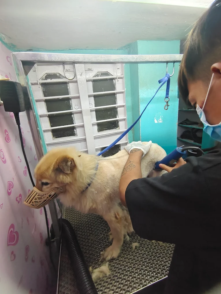 Happy Tails Animal Hospital & Pet Spa Veterinary Clinic in Gajuwaka, Visakhapatnam — Facility Photo 6