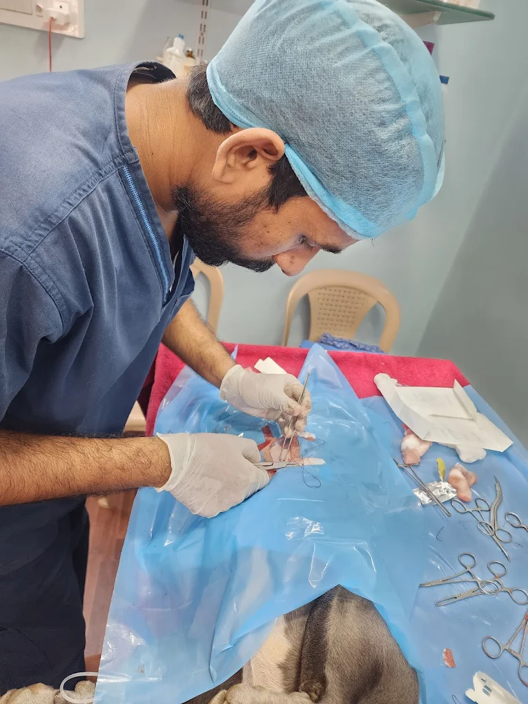 Happy Tails Animal Hospital & Pet Spa Veterinary Clinic in Gajuwaka, Visakhapatnam — Facility Photo 4