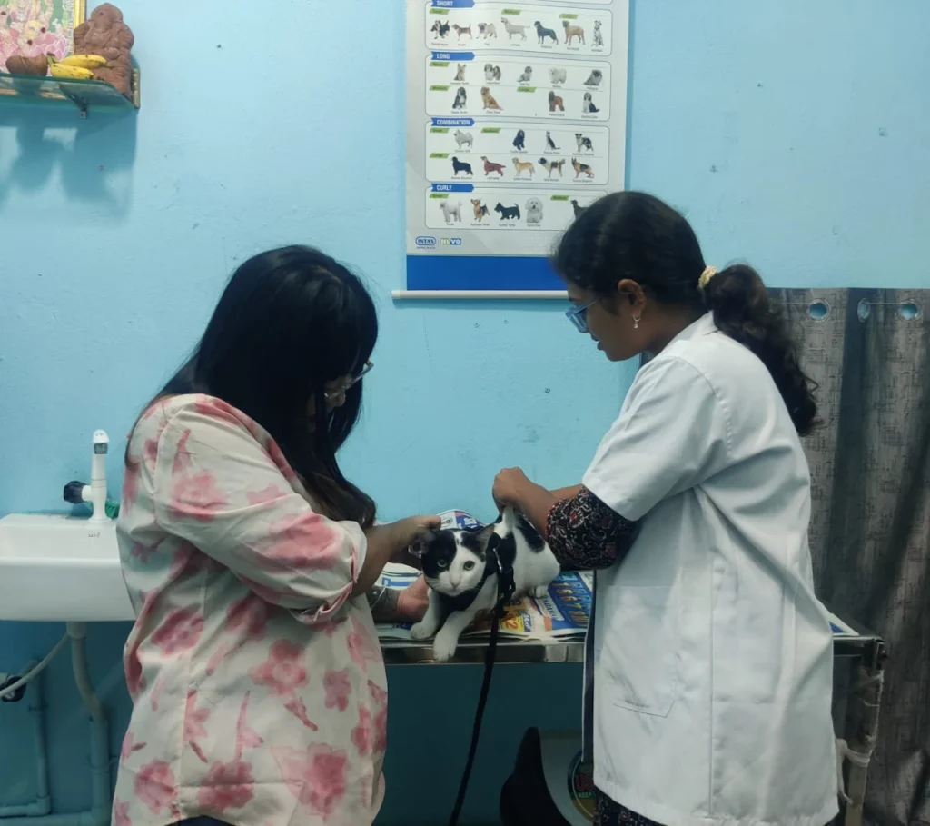Happy Tails Pet Clinic Anakapalli Veterinary Clinic in Gandhi Nagar, Anakapalli — Facility Photo 5