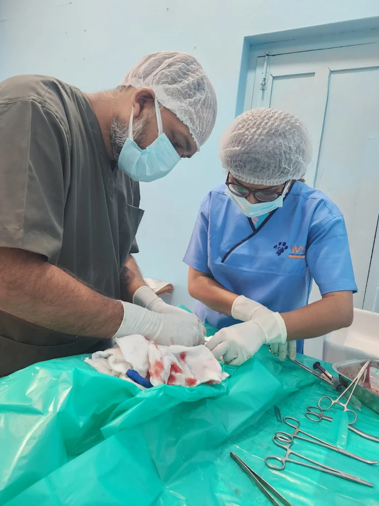 Happy Tails Pet Clinic Anakapalli Veterinary Clinic in Gandhi Nagar, Anakapalli — Facility Photo 4