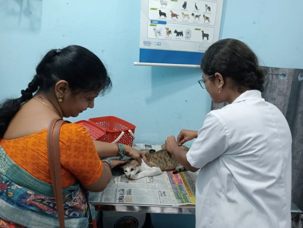 Happy Tails Pet Clinic Anakapalli Veterinary Clinic in Gandhi Nagar, Anakapalli — Facility Photo 3