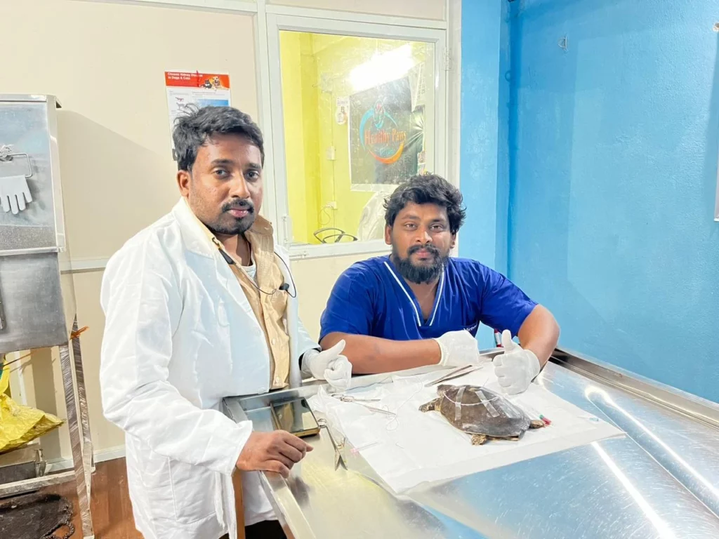 Healthy Paws Plus Pet Clinic Anakapalle Veterinary Clinic in Gandhi Nagar, Anakapalli — Facility Photo 8