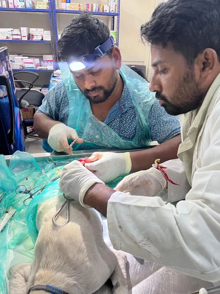 Healthy Paws Plus Pet Clinic Anakapalle Veterinary Clinic in Gandhi Nagar, Anakapalli — Facility Photo 6