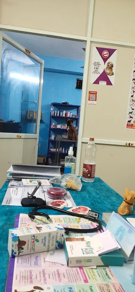 Healthy Paws Plus Pet Clinic Anakapalle Veterinary Clinic in Gandhi Nagar, Anakapalli — Facility Photo 4