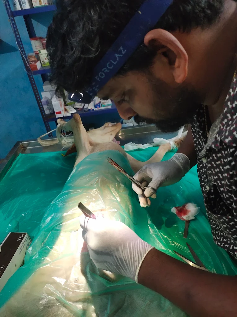 Healthy Paws Plus Pet Clinic Anakapalle Veterinary Clinic in Gandhi Nagar, Anakapalli — Facility Photo 3
