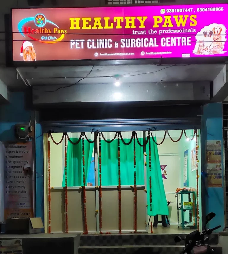 Healthy Paws Plus Pet Clinic Anakapalle - Pet Clinic in Gandhi Nagar, Anakapalli
